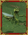   !